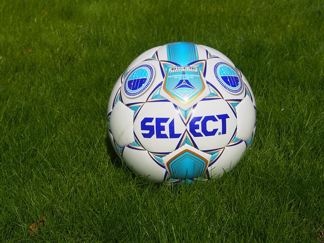 轻球员的培 轻球员的培