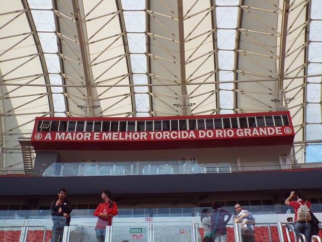 它們往往意 它們往往意