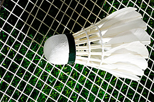 市场的金字 市场的金字