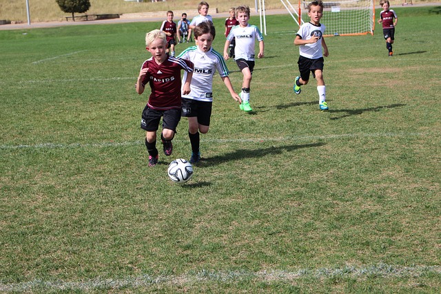 案例就很好 案例就很好