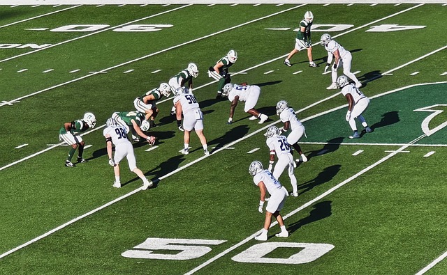 佩的未来 佩的未来