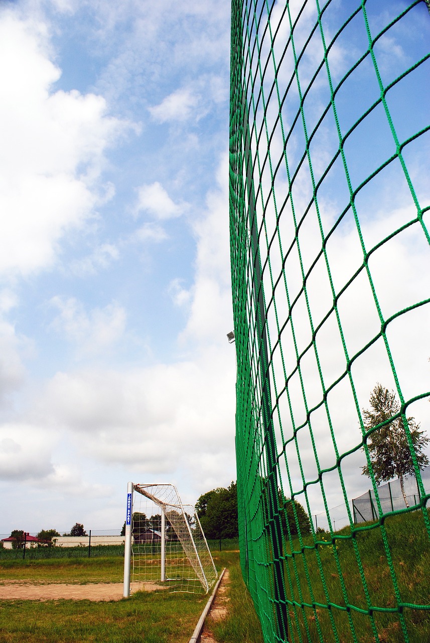 影响了他们 影响了他们