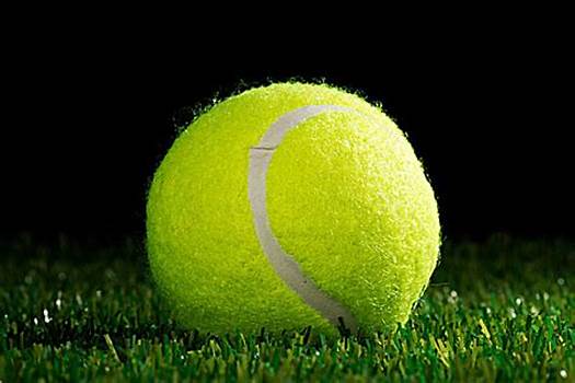 启蒙的优势 启蒙的优势